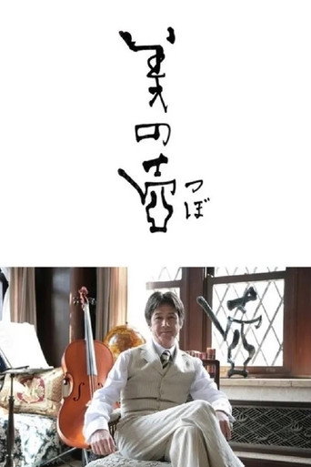 Постер фильма «美の壺»