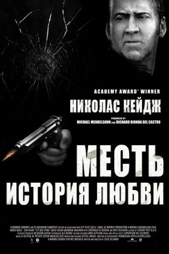 Постер фильма «Месть: История любви»
