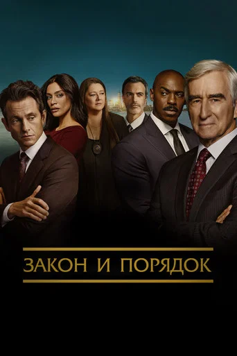 Постер фильма «Закон и порядок»