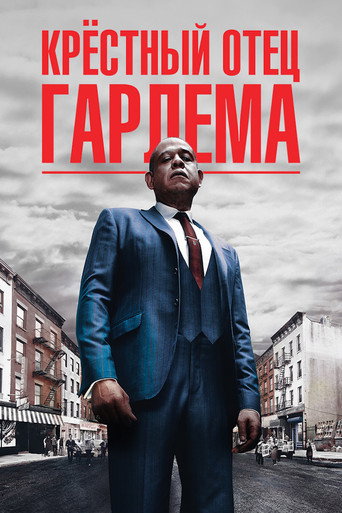 Постер фильма «Крёстный отец Гарлема»