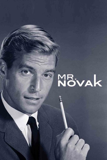 Постер фильма «Мистер Новак»