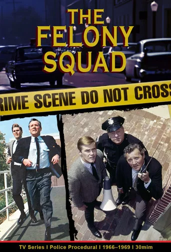 Постер фильма «Felony Squad»