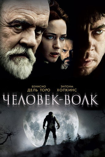 Постер фильма «Человек-волк»
