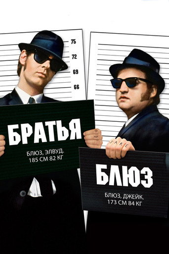 Постер фильма «Братья Блюз»