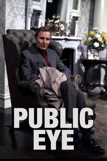 Постер фильма «Public Eye»