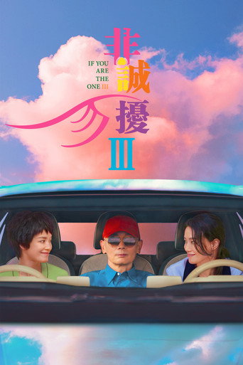 Постер фильма «非诚勿扰3»