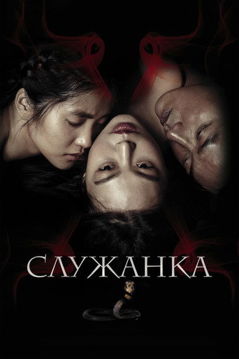 Постер фильма «Служанка»