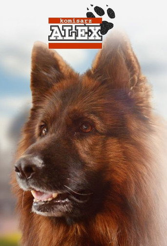 Постер фильма «Komisarz Alex»
