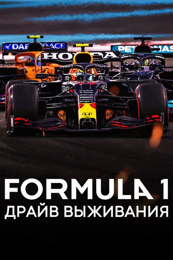 Постер фильма «Formula 1. Драйв выживания»