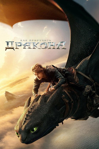 Постер фильма «Как приручить дракона»
