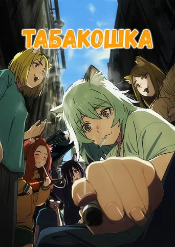 Постер фильма «Табакошка»