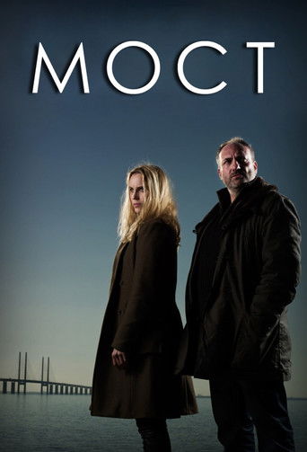 Постер фильма «Мост»