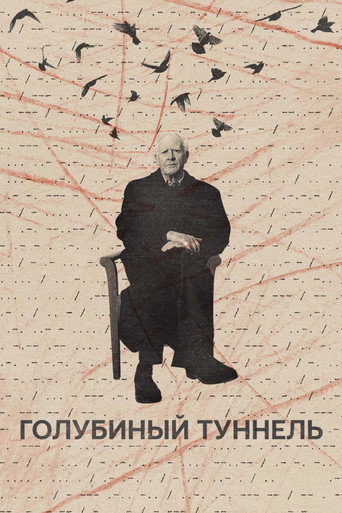 Постер фильма «Голубиный туннель»