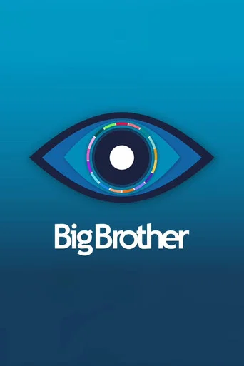 Постер фильма «Big Brother»