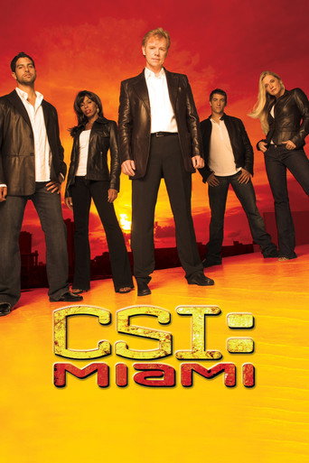 Постер фильма «C.S.I.: Майами»