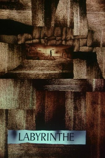Постер фильма «Le labyrinthe»