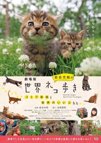 Постер фильма «岩合光昭の世界ネコ歩き»