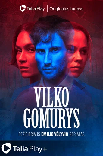 Постер фильма «Vilko gomurys»