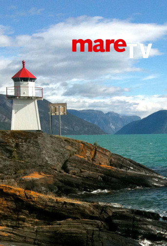 Постер фильма «mare TV»