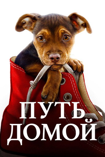 Постер фильма «Путь домой»