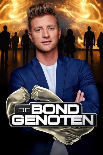 Постер фильма «De Bondgenoten»