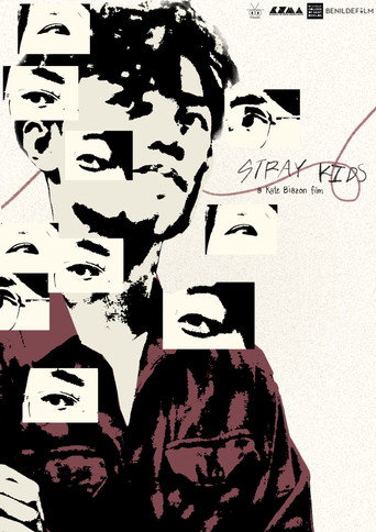 Постер фильма «Stray Kids»