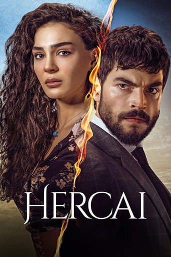 Постер фильма «Ветреный»