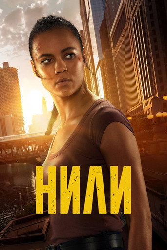 Постер фильма «Нили»