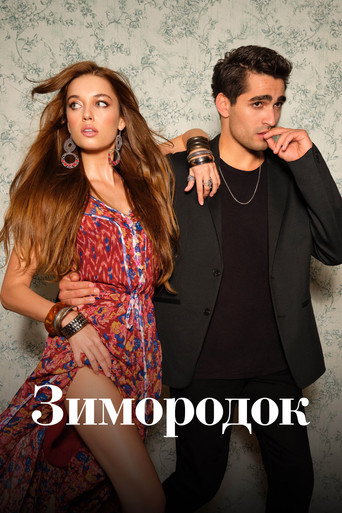 Постер фильма «Зимородок»