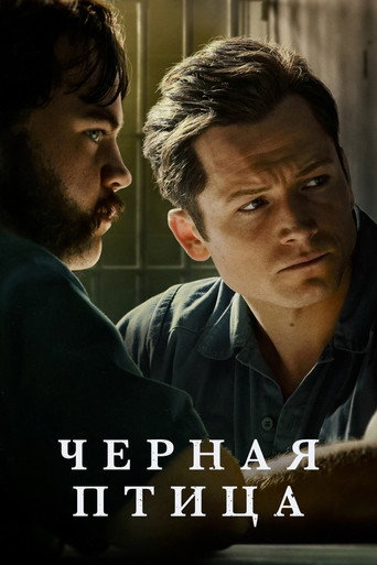 Постер фильма «Черная птица»