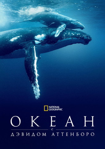 Постер фильма «Океан с Дэвидом Аттенборо»