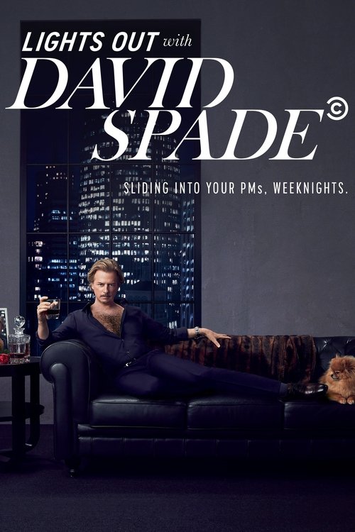 Постер: Lights Out with David Spade