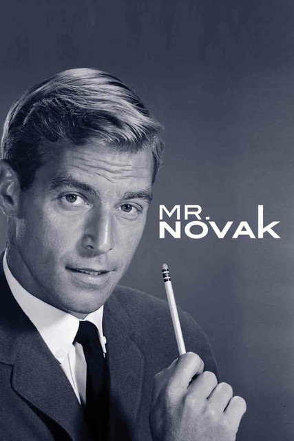 Постер: Мистер Новак