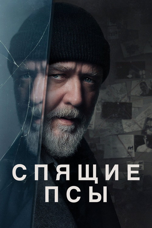 Постер: Спящие псы