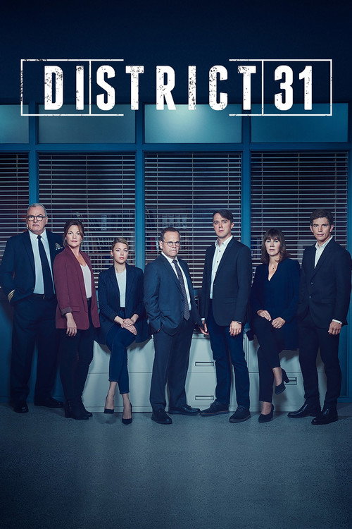 Постер: District 31