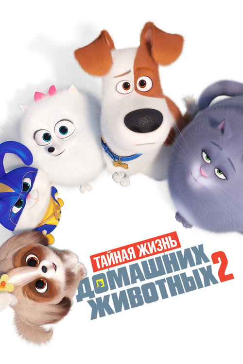 Постер: Тайная жизнь домашних животных 2