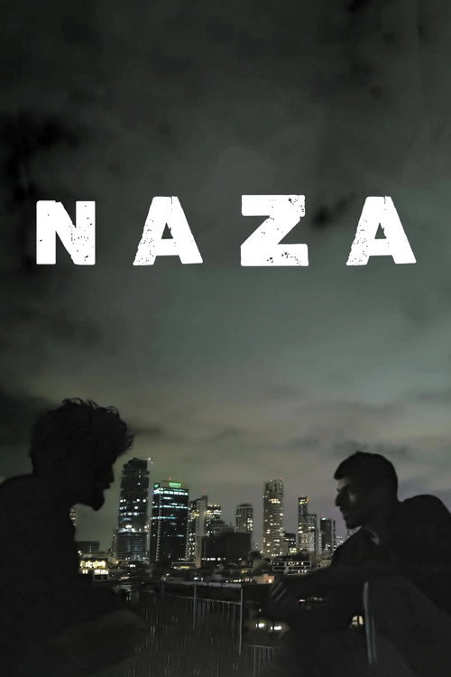 Постер: NAZA