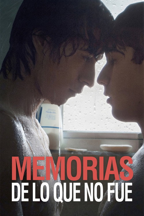 Постер: Memorias de lo que no fue