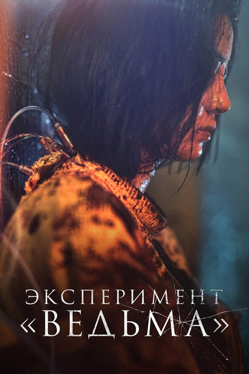 Постер: Эксперимент «Ведьма»