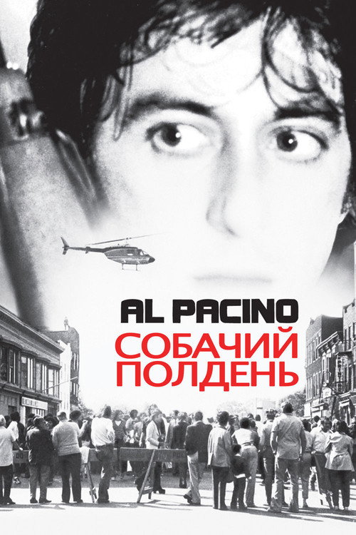 Постер: Собачий полдень