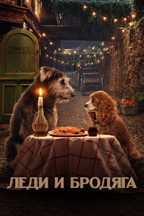 Постер: Леди и Бродяга