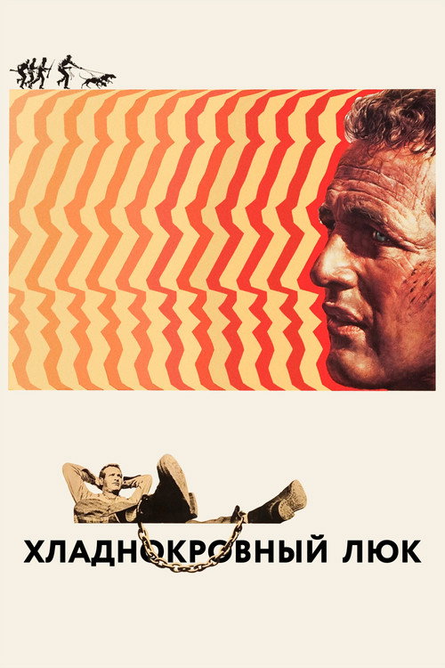 Постер: Хладнокровный Люк