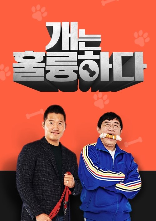Постер: 개는 훌륭하다