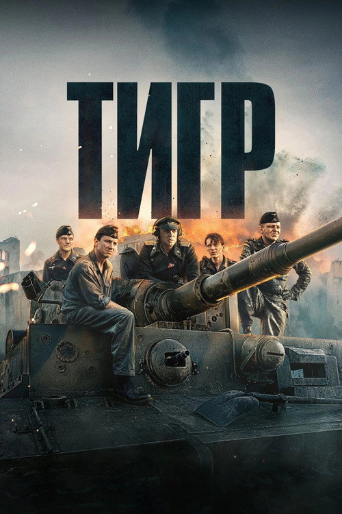 Постер: Тигр