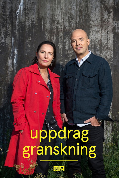 Постер: Uppdrag granskning