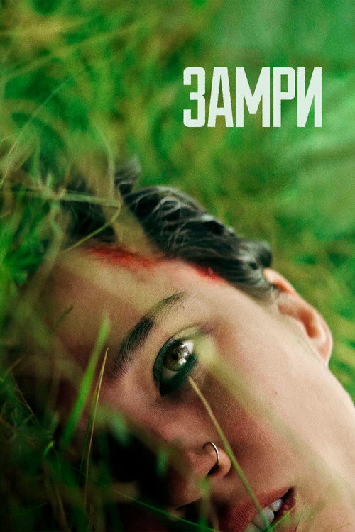 Постер: Замри