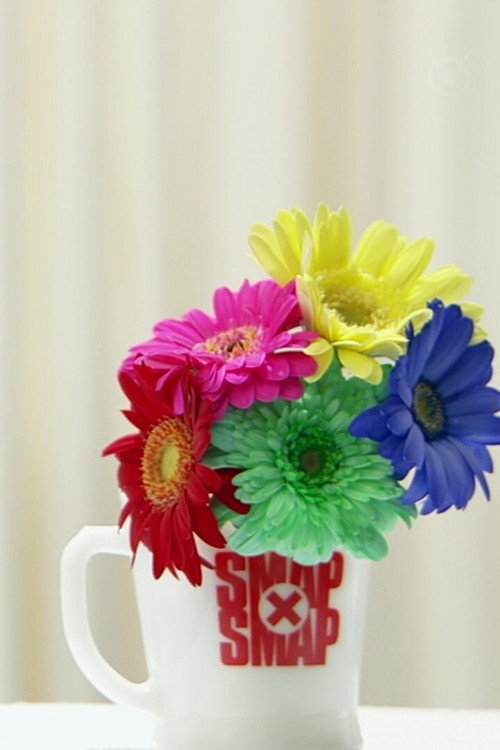 Постер: SMAP×SMAP