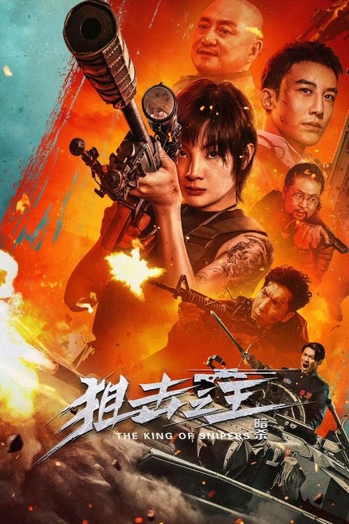 Постер: 狙击之王：暗杀