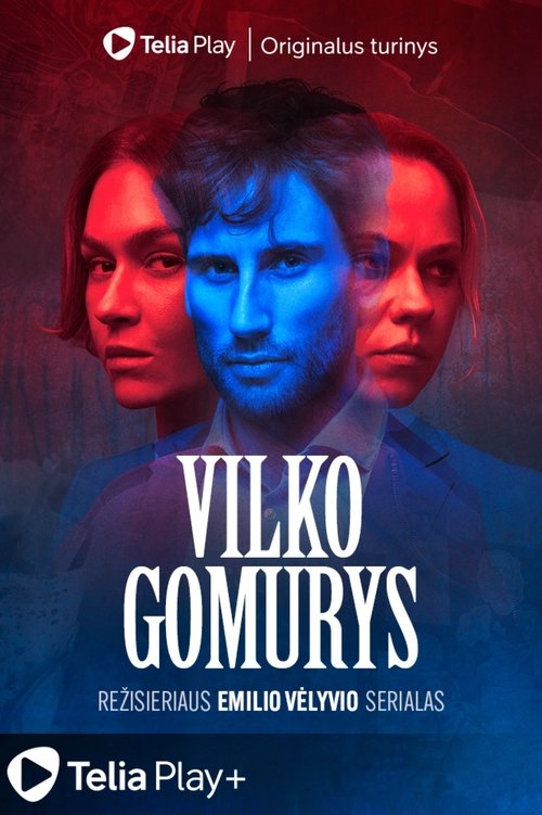 Постер: Vilko gomurys