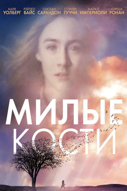 Постер: Милые кости